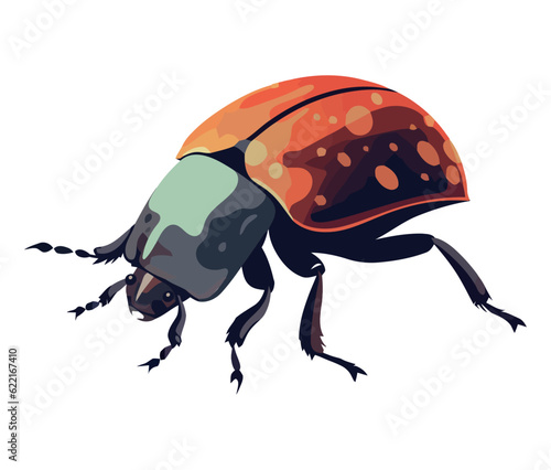 Small scarab beetle