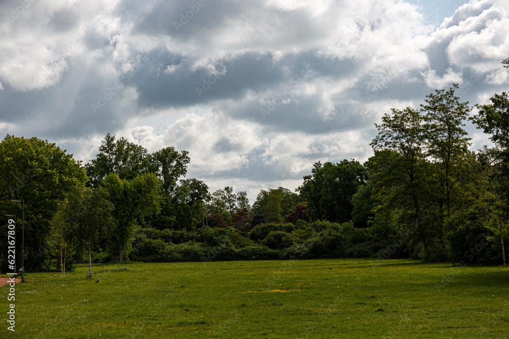 View to grass field, trees, blue sky and clouds