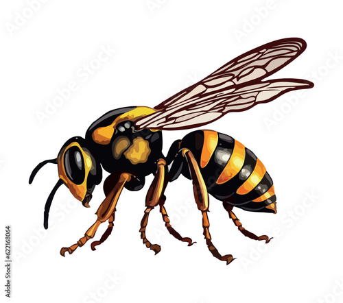 Colored wasp design © grgroup