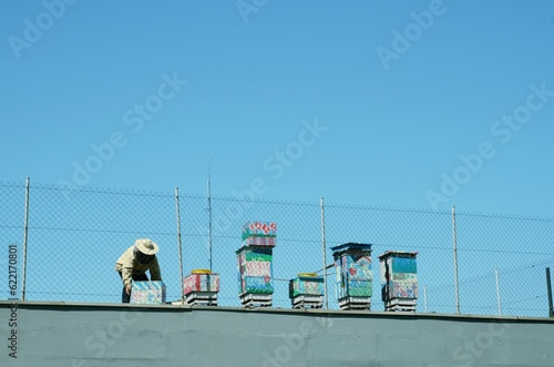 man setting bee  hives at roof of city building
