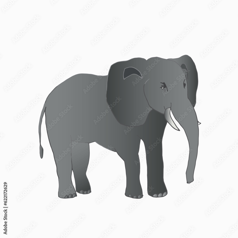 Fototapeta premium A vector elephant isolated on white background. Hand drawn line sketch, colored illustration with shadow.