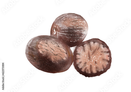 nutmegs isolated on white background, watercolor illustration