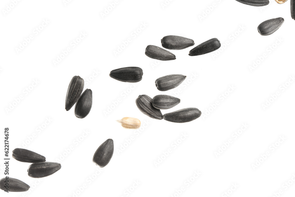 Flying sunflower seeds on white background Flying sunflower seeds on white background