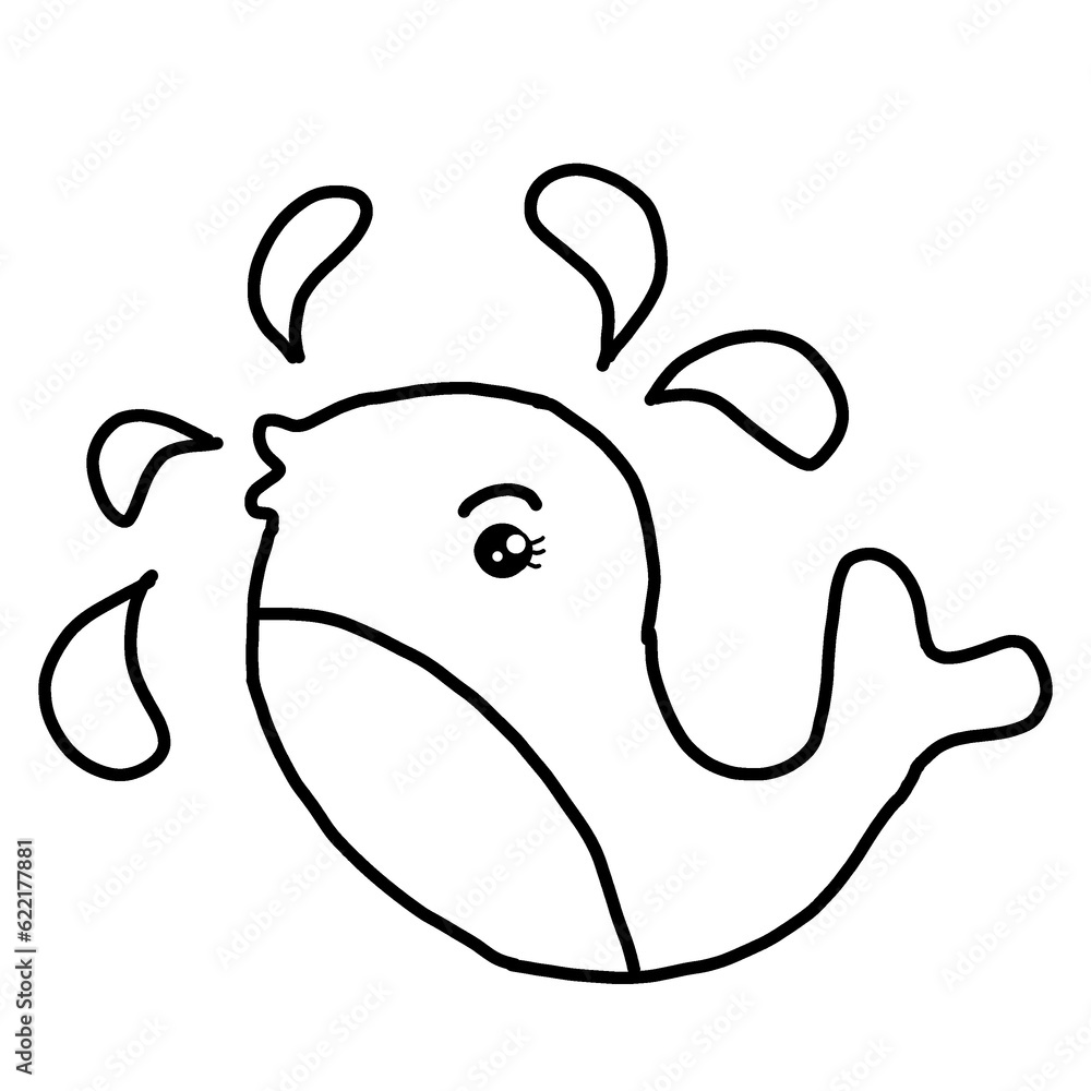 Dolphin Dolphin