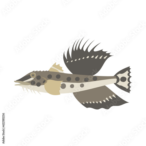 トクビレ（ハッカク）。フラットなベクターイラスト。
Sailfin poacher (snail-fin poacher). Flat designed vector illustration.
