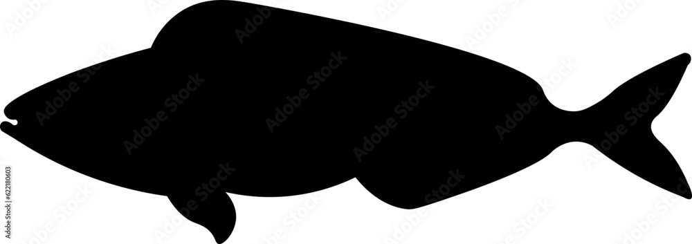 Aquatic Fish Silhouette Illustration Vector Aquatic Fish Silhouette Illustration Vector