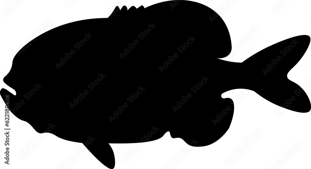 Sea Fish Silhouette Illustration Vector Sea Fish Silhouette Illustration Vector