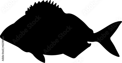 Sea Fish Silhouette Illustration Vector