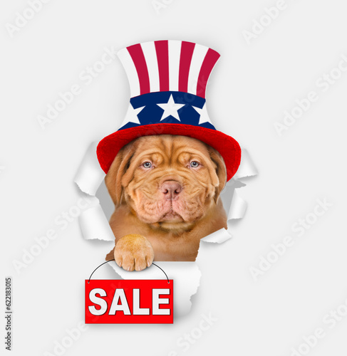 Serious Mastiff puppy wearing like Uncle Sam looking through a hole in paper and shows signboard with labeled "sale". isolated on white background © Ermolaev Alexandr