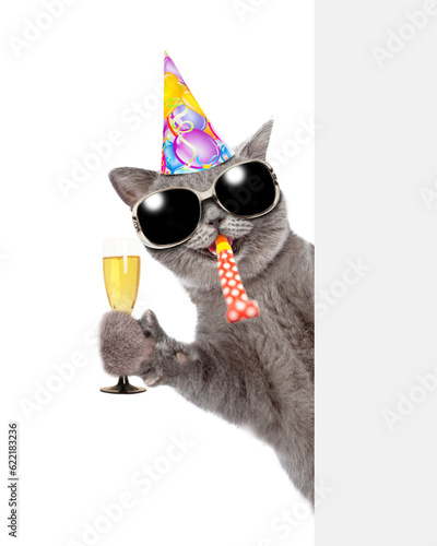 Happy cat wearing sunglasses and party cap blows into  party horn, holds glass of champagne and looks from behind empty white banner. isolated on white background