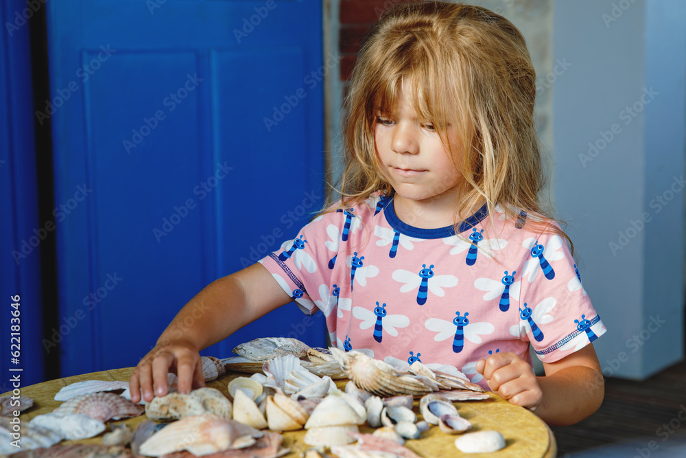 Little preschool girl with variation of different shells and clams at home. Happy child with collected shell from Normandy, France. Children, education, vacation concept. Little preschool girl with variation of different shells and clams at home. Happy child with collected shell from Normandy, France. Children, education, vacation concept.