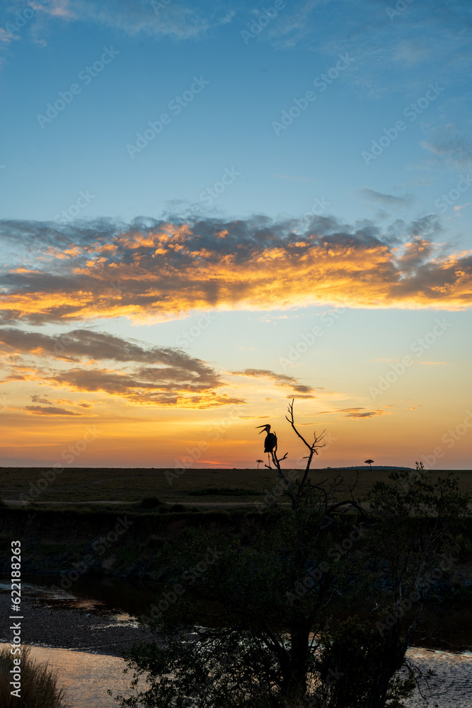 Sunset in the savannah of Kenya with a bird sitting on a tree, Masai Mara