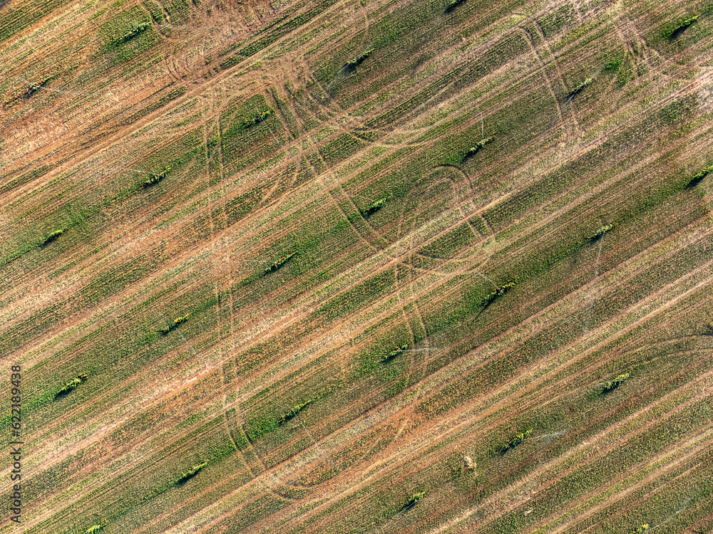 Aerial view of a fresh harvest crop field