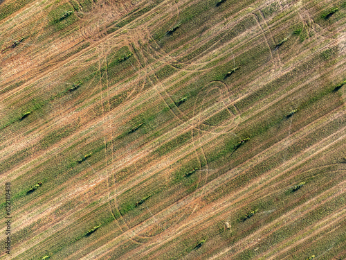 Obraz na płótnie Aerial view of a fresh harvest crop field w salonie