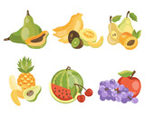 fruits vector illustration set