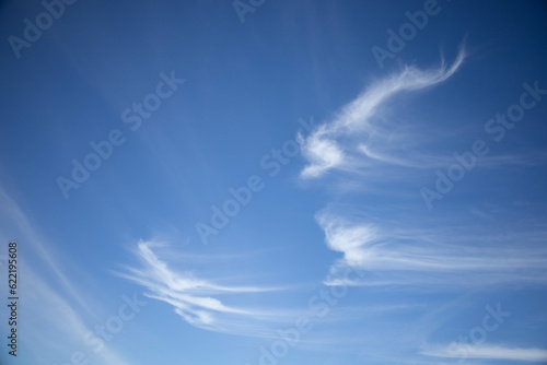 Cirrus clouds in the sky. Light cirrus clouds swaying in the wind have a strangely beautiful shape against the blue sky in Thailand with copy space. no focus