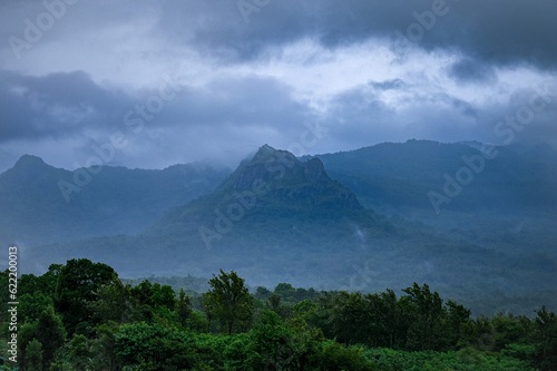 A beautiful misty mountain landscape from Tamil Nadu  India