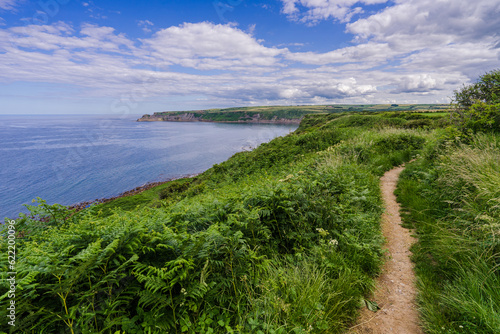 The Cleveland Way long distance footpath. View from the path between Port Mulgrave and Runswick Bay (not visible) the headland in the distance is Kettleness. photo