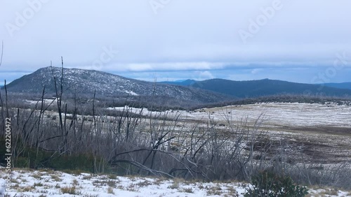 Wallpaper Mural A wide shot of a beautiful snowy landscape in the Victorian high country. Torontodigital.ca