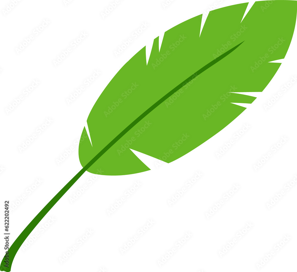 야자수잎 야자수잎