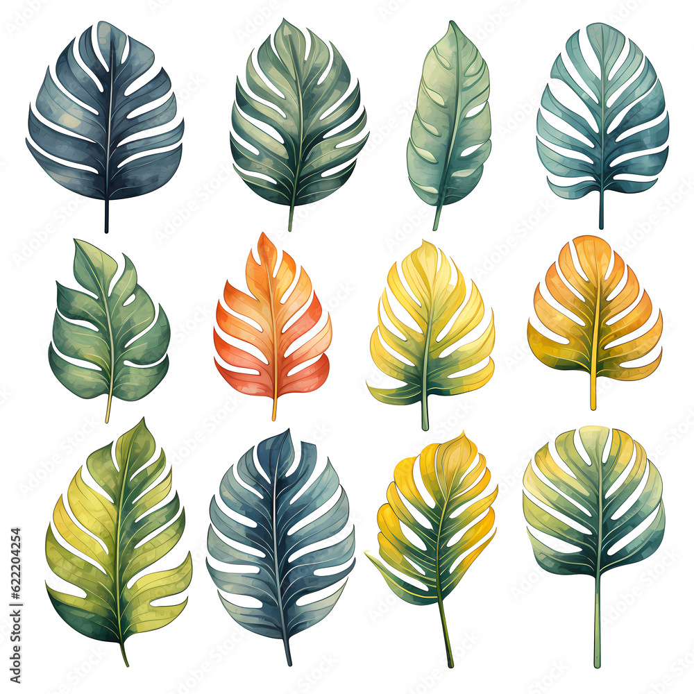 Fototapeta premium Watercolor Monstera palm leaf Clipart Illustration Png Transparent Background
