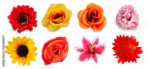 Fotografia Collection of summer flower isolated