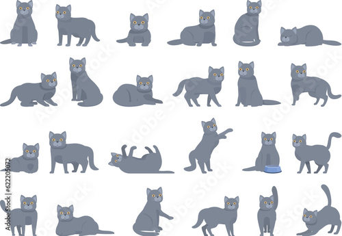 British Shorthair cat icons set cartoon vector. Funny animal. Cute cat
