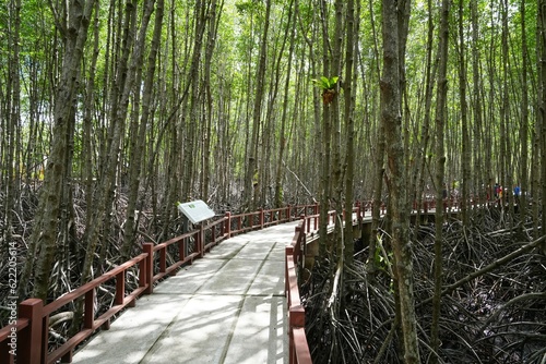 view of the mangrove forest Pranburi District Prachuap Khiri Khan Province, Thailand. Taken on 16 June 2023.