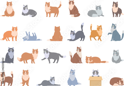 Fototapeta Naklejka Na Ścianę i Meble -  Norwegian Forest Cat icons set cartoon vector. Domestic animal. Pet hair