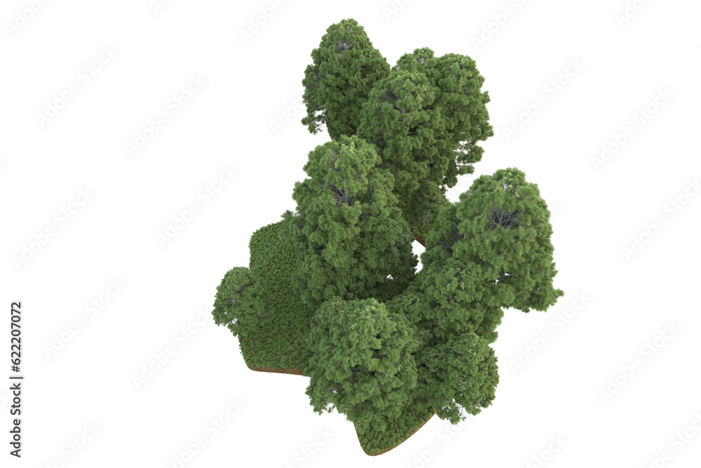 Tropical landscape isolated on transparent background. 3d rendering - illustration Tropical landscape isolated on transparent background. 3d rendering - illustration