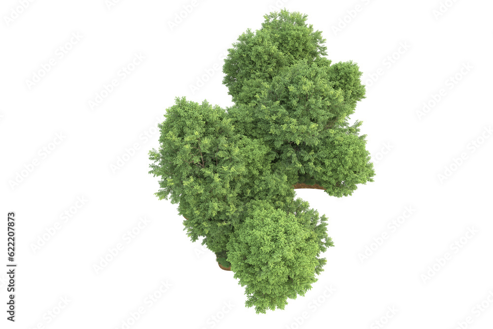 Fototapeta premium Tropical forest isolated on transparent background. 3d rendering - illustration
