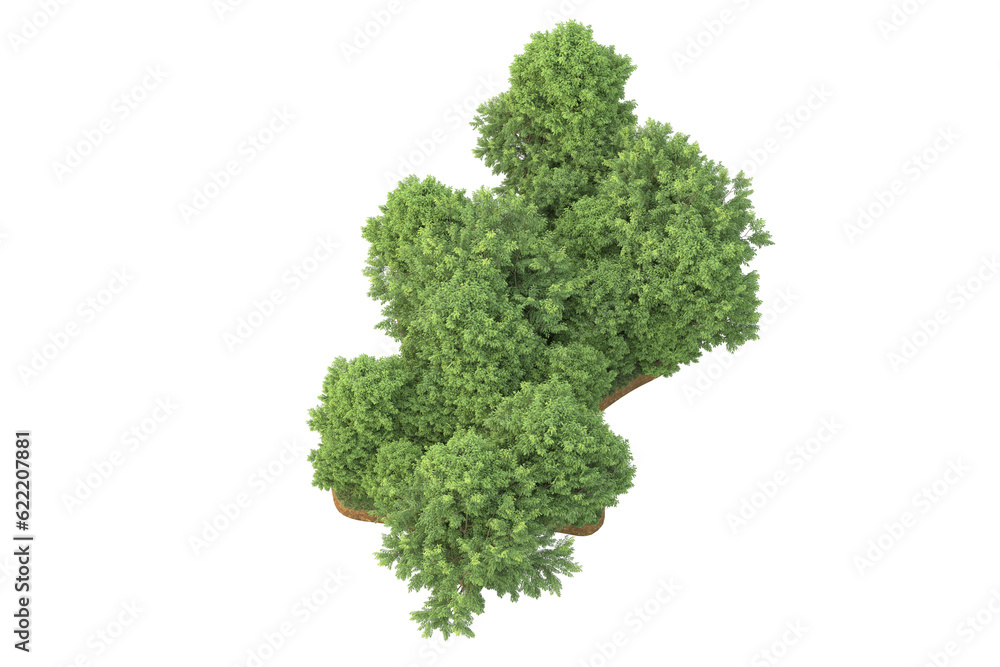 Tropical forest isolated on transparent background. 3d rendering - illustration Tropical forest isolated on transparent background. 3d rendering - illustration