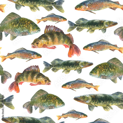 Watercolor illustration, seamless pattern with fresh fishes, perch, pike, Crucian fish, carp, grayling animal isolated on a white background