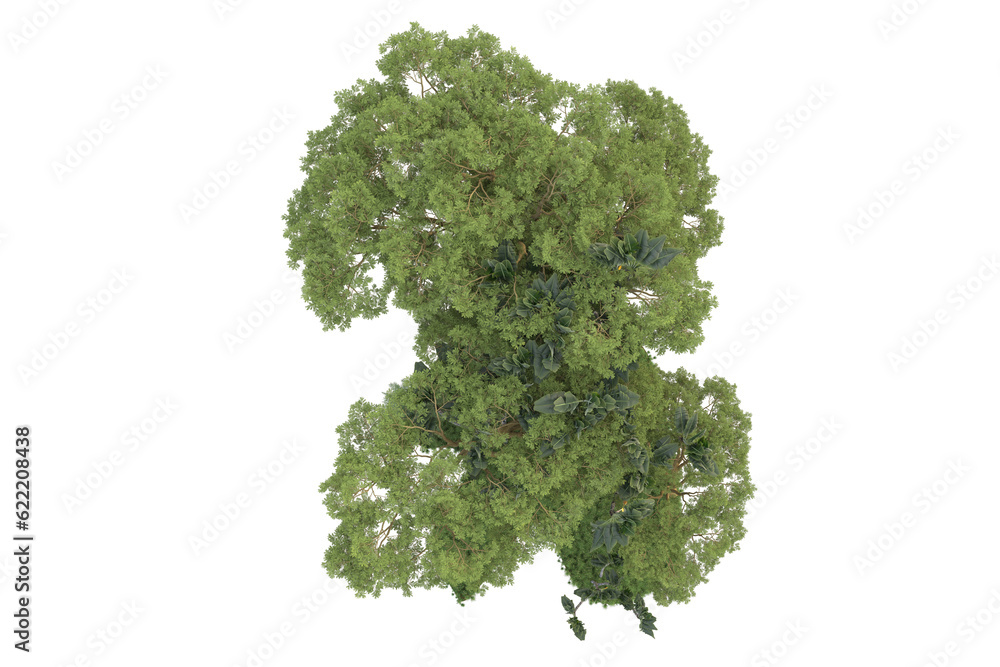 Fototapeta premium Tropical landscape isolated on transparent background. 3d rendering - illustration