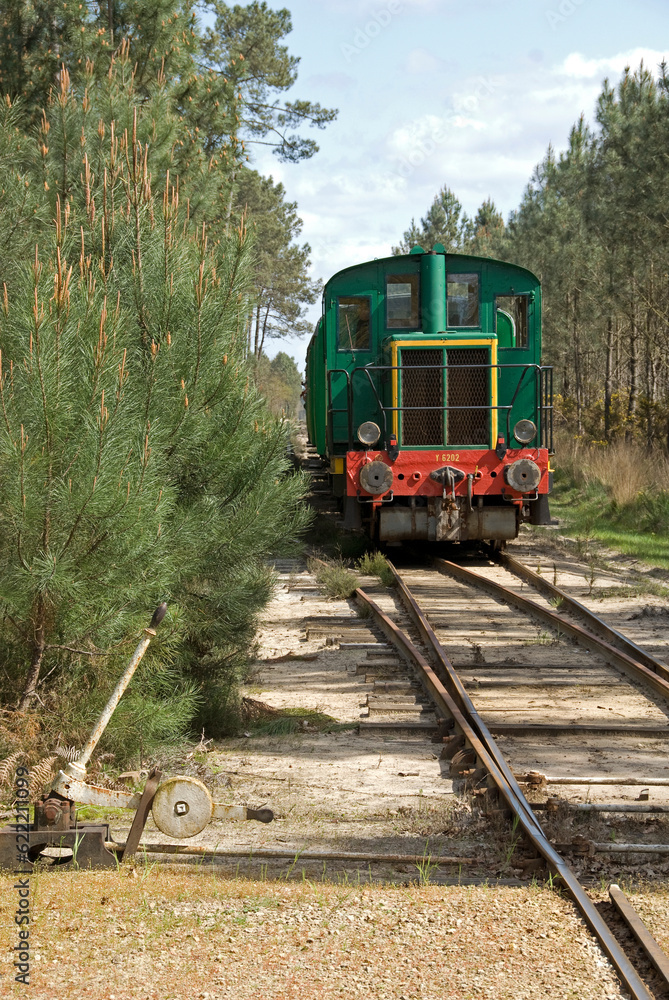 Naklejka premium Train touristique des Landes; Eco musée de Marquéze; Parc naturel des Landes de Gascogne; Région Aquitaine; Sabres; 40, France