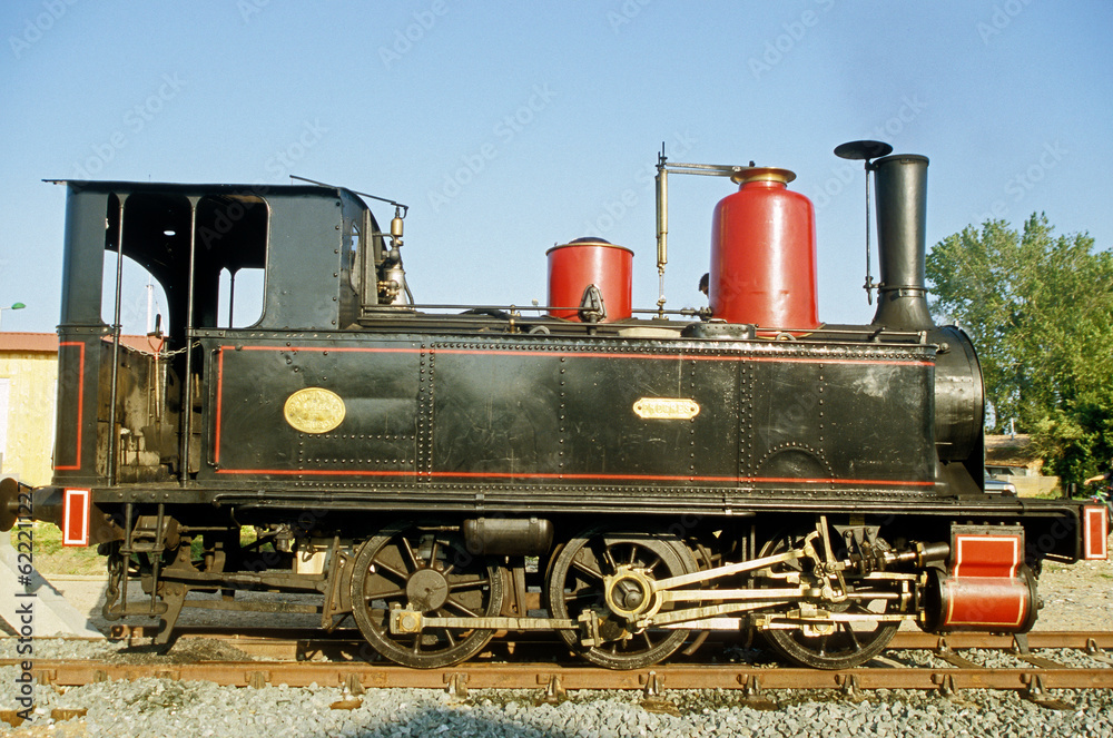 Fototapeta premium Train touristique des Mouettes; La Tremblade; Région Poitou Charentes; 17, France