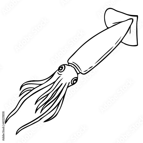 squid outline vector illustration