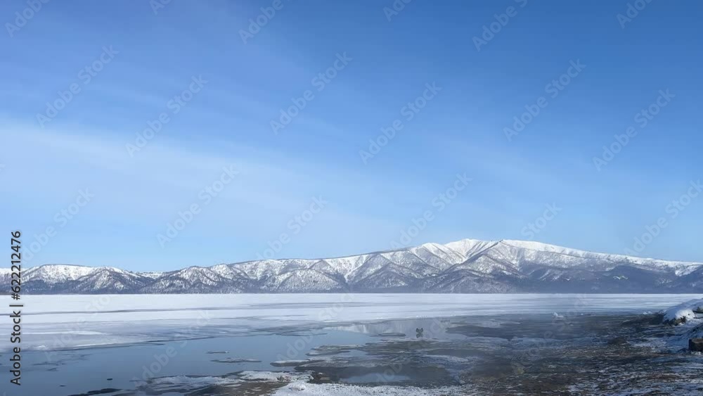 Swans flying over misty frozen thermal waters of a lake Swans flying over misty frozen thermal waters of a lake