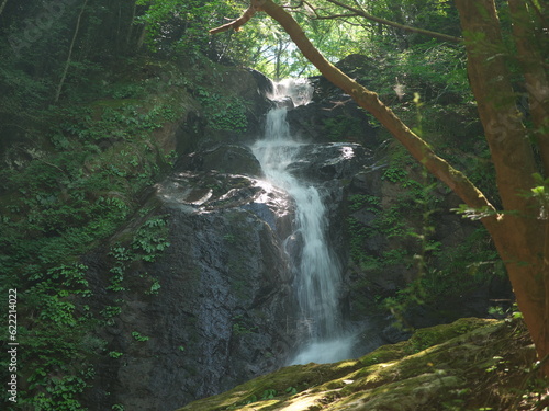 小さな渓谷を流れる清流の滝 
