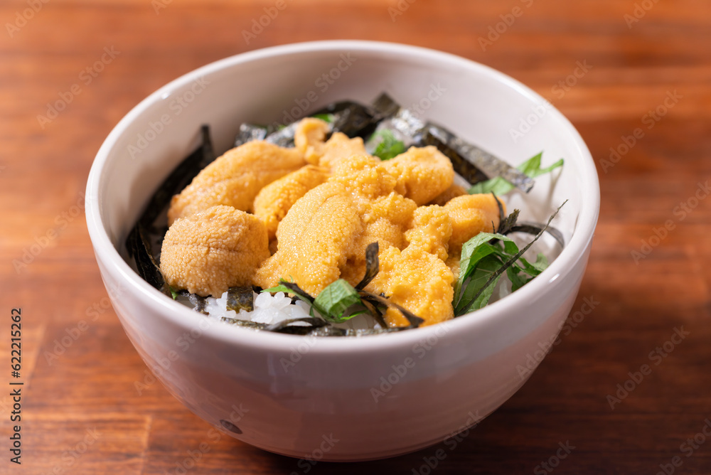 日本の食卓,ウニ丼,鮭ウニ丼,家庭料理