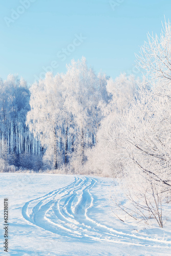 beautiful sunny  winter landscape with hoarfrost