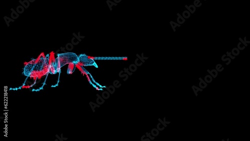 3D Insect scan on black bg with copy space. Control and killing of Insect. Pest Control Service. Biological hazard. Scientific research. For title, text, presentation. 3d animation 60 FPS