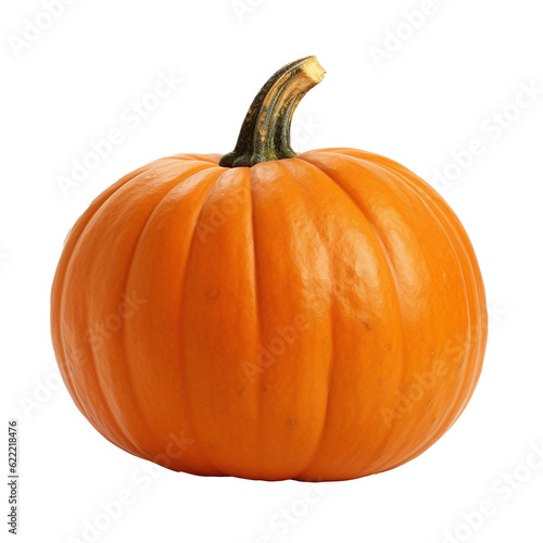 pumpkin isolated on white