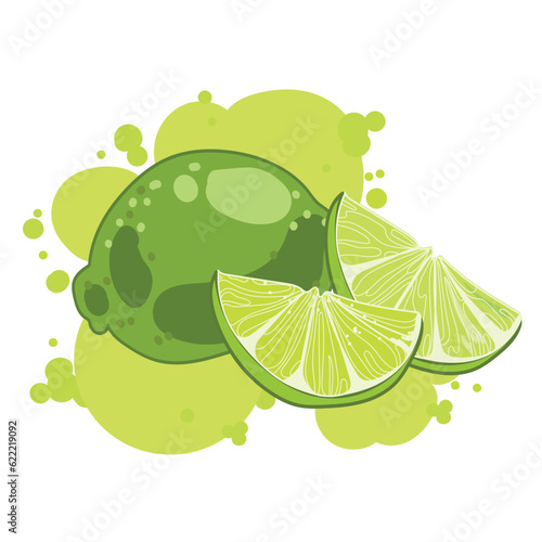 Lime whole and slice Abstract drawing.Logo,emblem,print,sticker icon design. Colorful drawing of green citrus lime. Vector illustration