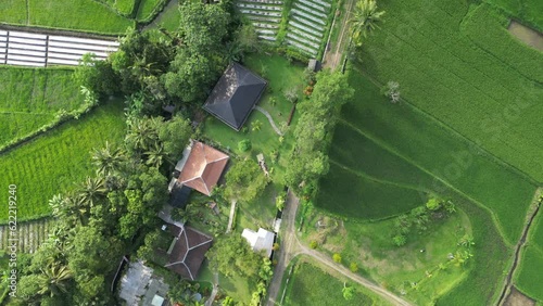 Aerial view of building located in a rice field area with natural conditions in Pakem, Yogyakarta, Indonesia - Straight movement, Looking down 90 Degree Footage Video. Rural scene and village.
