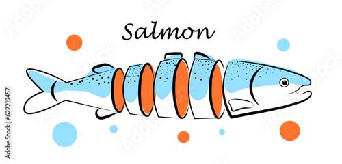 Salmon steak on a white background. Fish with omega 3. Vector illustration isolated on white background