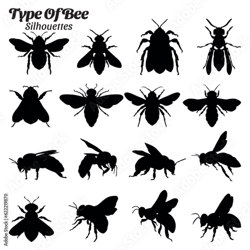 Bee insect type silhouette vector set © Ascreator