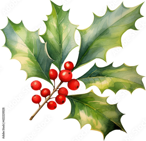 Christmas Holly berry watercolor illustration. Generative AI photo