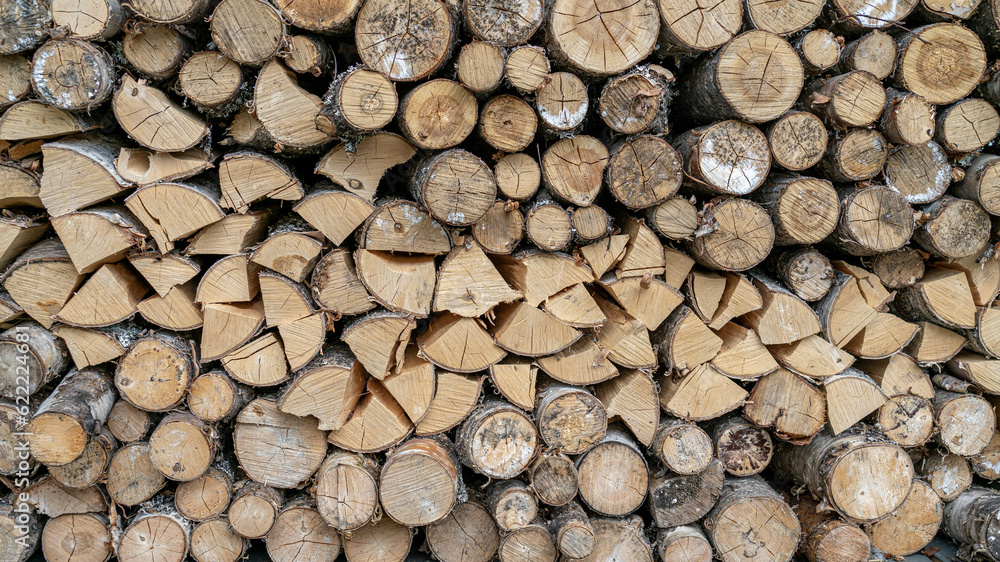 Texture from chopped firewood. Northern tree species. Texture from chopped firewood. Northern tree species.