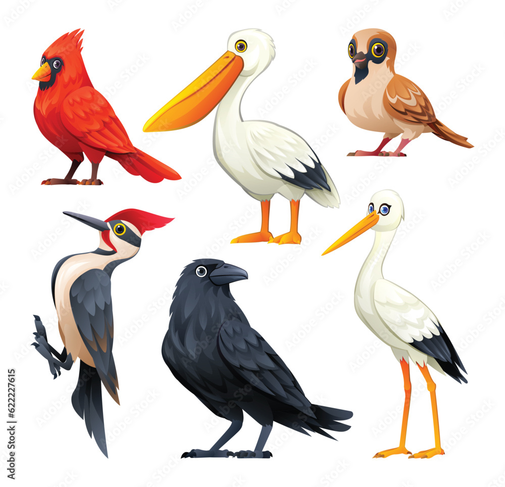 Fototapeta premium Set of birds vector cartoon illustration